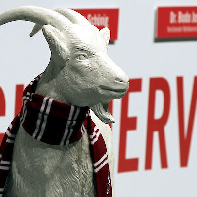 Mitgliedersammlung 1. FC Köln 27.09.2025