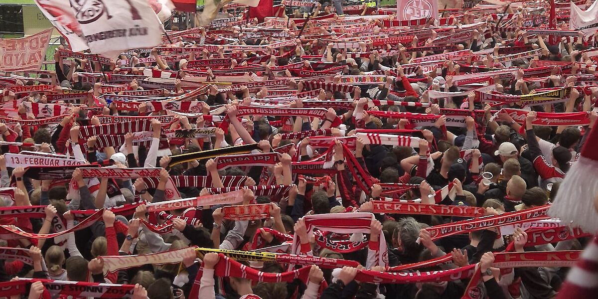 Eintracht Frankfurt - 1. FC Köln