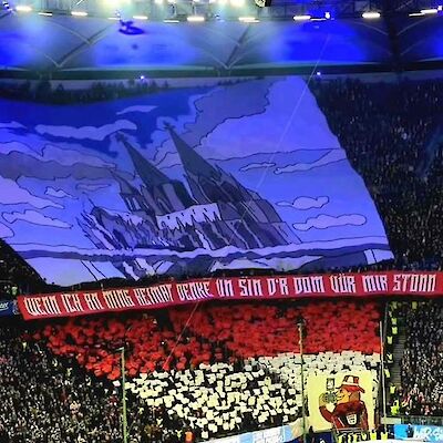 Hamburger SV - 1. FC Köln